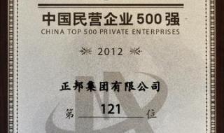 中国民营企业500强公布