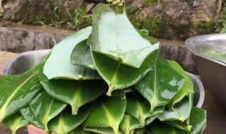 粽子怎么包好看又简单
