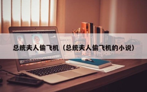 总统夫人偷飞机（总统夫人偷飞机的小说）