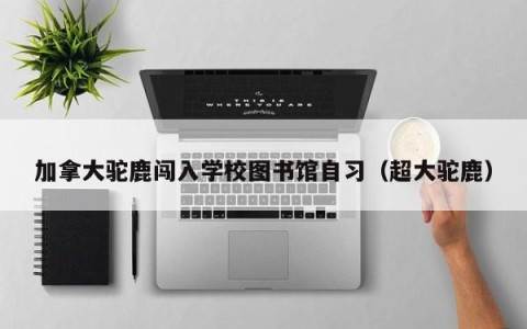 加拿大驼鹿闯入学校图书馆自习（超大驼鹿）