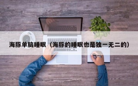 海豚单脑睡眠（海豚的睡眠也是独一无二的）