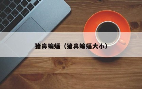 猪鼻蝙蝠（猪鼻蝙蝠大小）