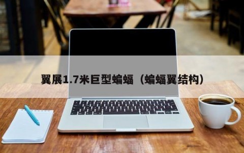 翼展1.7米巨型蝙蝠（蝙蝠翼结构）