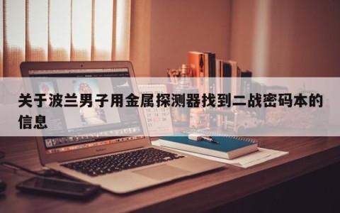 关于波兰男子用金属探测器找到二战密码本的信息