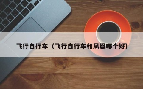 飞行自行车（飞行自行车和凤凰哪个好）