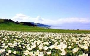 呼伦贝尔十月份适合旅游吗 呼伦贝尔大草原几月份去好