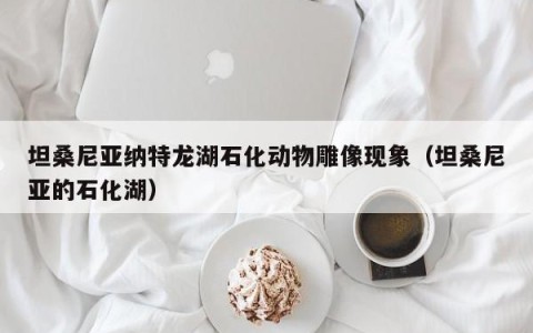 坦桑尼亚纳特龙湖石化动物雕像现象（坦桑尼亚的石化湖）