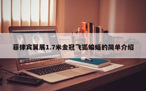 菲律宾翼展1.7米金冠飞狐蝙蝠的简单介绍