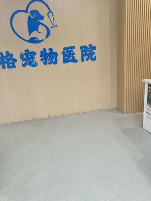宠物医院相亲角(宠物医院系列)