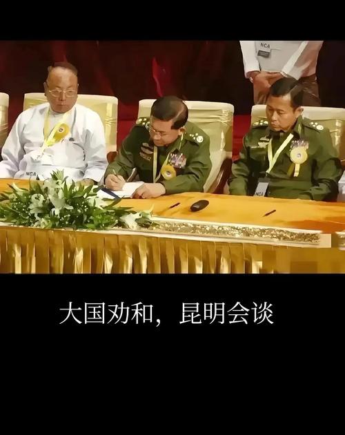 缅甸参与上合趣闻（缅甸联合政府）